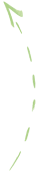 meypak_processing