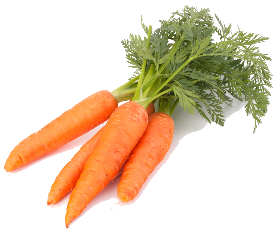 Carrot