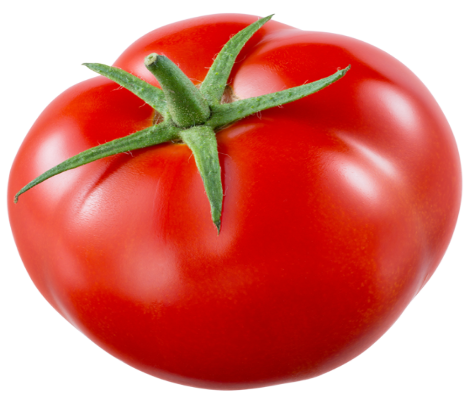 Tomato